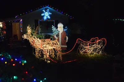 DSC_5817 (Large).JPG